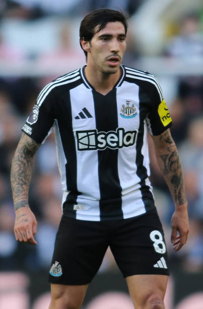 团队的发展 团队的发展