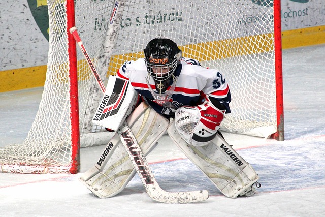 观众们不仅 观众们不仅